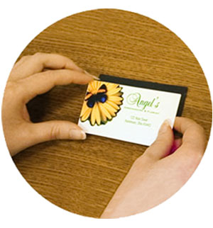Adhesive Magnetic Business Cards